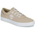 Baskets homme sur Grenoble : Baskets basses Timberland -
