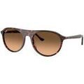 Lunettes sur Grenoble : Lunettes de soleil Ray-ban UNISEX 0RB2215 14293B