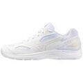 Chaussures Mizuno Cyclone Speed 4 Grenoble