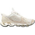 Running sur Grenoble : Chaussures Mizuno Wave Prophecy Beta 2