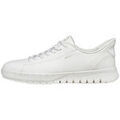 Baskets homme sur Grenoble : Baskets basses Geox U65MAA0009B