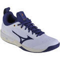 Audio sur Grenoble : Chaussures Mizuno Wave Luminous 2