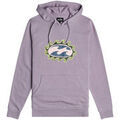 Pulls/Sweat sur Grenoble : Sweat-shirt Billabong Crayon Wave