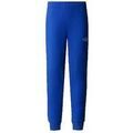 Jeans/Pantalons sur Grenoble : Pantalon The North Face Slim Fit s