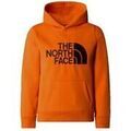 Pull enfant The North Face Drew Peak P/O Pull enfant The North Face Drew Peak P/O Grenoble