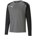 Sweat-shirt Puma Sweat teamLIGA Training