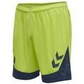 Short sur Grenoble : Short hummel Short hmlLead Poly vert