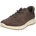 Baskets homme sur Grenoble : Baskets basses Ecco -
