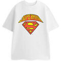 T-shirt Dc Comics Colligate Logo T-shirt &agrave; manches courtes Blanc