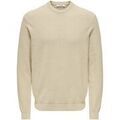 Pulls/Sweat sur Grenoble : Pull Only & Sons ONSDAVE REG LS CREW NECK KNIT NOOS