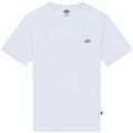 T-shirt Dickies MAPLETON SS TEE
