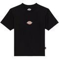 Tee-shirts sur Grenoble : T-shirt Dickies MAPLE VALLEY REG TEE W