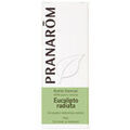 Bougies, diffuseurs Pranar&ocirc;m Huile Essentielle eucalyptus Radi&eacute; Unique. . Maison & D&eacute;co > Bougies, diffuseurs. Grenoble