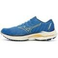 Running sur Grenoble : Chaussures Mizuno Wave Inspire 19