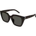 Lunettes de soleil Saint Laurent SL M143 Lunettes de soleil, Havana/Gris, 51 mm