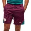 Short Nike PSG 24/25
