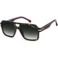 Lunettes de soleil Carrera 377/S Lunettes de soleil, Havana/Vert, 56 mm Grenoble