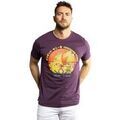Tee-shirts sur Grenoble : T-shirt Capslab T-shirt homme regular fit avec print One Piece Sunny