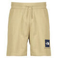 Shorts/Bermuda sur Grenoble : Short The North Face BOX NSE LIGHT REGULAR SHORTS
