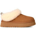 Chaussons / Pantoufles sur Grenoble : Chaussons UGG W TAZZELLE