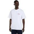T-shirt Dickies DK0A88860WH1