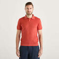 Polos sur Grenoble : Polo Wool&co -