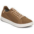 Baskets homme sur Grenoble : Baskets basses Saola CANNON KNIT 2.0