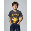 T-shirt enfant Pokemon T-shirt gar&ccedil;on gris Gris