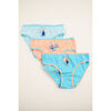 Culottes & slips Reine Des Neiges Lot 3 Culottes fille multicolore Bleu