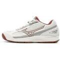Chaussures Mizuno Break Shot Grenoble