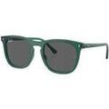 Lunettes sur Grenoble : Lunettes de soleil Ray-ban Lunettes de soleil carr&eacute;es RB2210 Vert