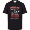Tee-shirts sur Grenoble : T-shirt Iceberg -