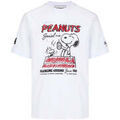 Tee-shirts sur Grenoble : T-shirt Iceberg -
