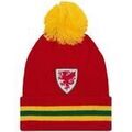 Bonnet Fa Wales GF102