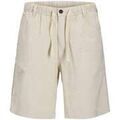 Shorts/Bermuda sur Grenoble : Short Premium By Jack & Jones 193806VTPE26