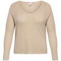 Pull sur Grenoble : Pull Only Carmakoma 195436VTPE26