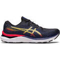 Running sur Grenoble : Chaussures Asics 1011B366