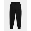 Sportswear sur Grenoble : Jogging 4F 4FWMM00TTROF0