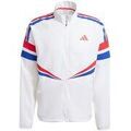 Veste adidas JD7317