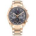 Hommes sur Grenoble : Montre Tommy Hilfiger 1782386