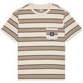 Chemises/chemisettes sur Grenoble : Chemise Element ICON LABEL POCKET SS