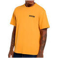 Tee-shirts sur Grenoble : T-shirt Dickies DARRTOWN SS TEE SUNFLOWER
