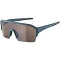 Lunettes sur Grenoble : Lunettes de soleil Alpina -