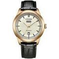 Hommes sur Grenoble : Montre Citizen OROLOGI