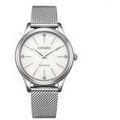 Hommes sur Grenoble : Montre Citizen OROLOGI
