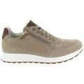 Baskets basses Ara 24501 MATTEO