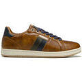 Baskets homme sur Grenoble : Baskets basses Redskins DAYTON COGNAC+KAKI+MARINE