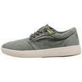 Baskets homme sur Grenoble : Baskets basses Natural World FINCH