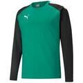 Sweat-shirt Puma Sweat teamLIGA Training