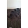 Bottines Sans marque Bottines noires